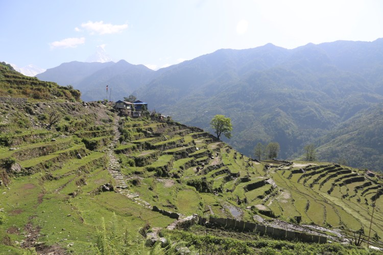 DA7CD19B-59B5-4D52-9A86-2AB139B204AD